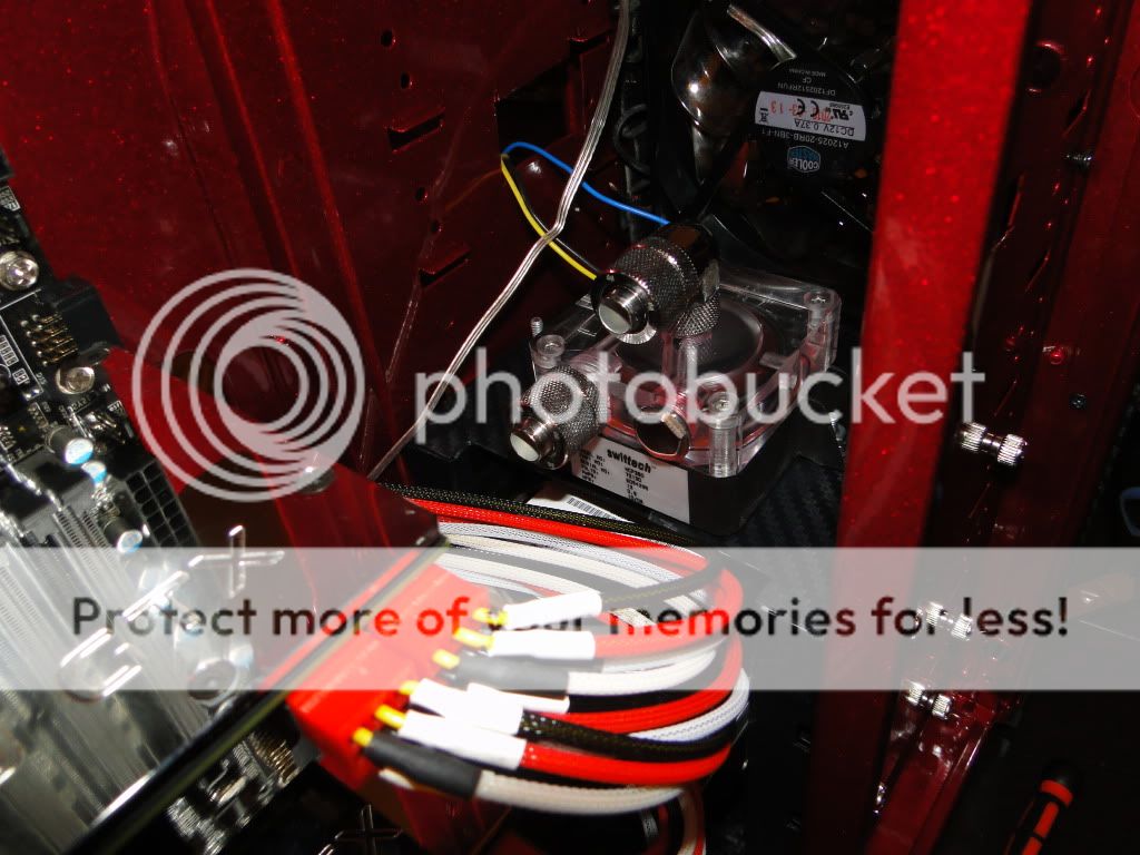 DSC03712.jpg