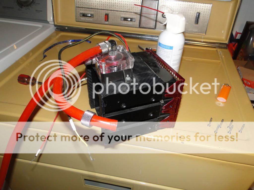 DSC04608.jpg