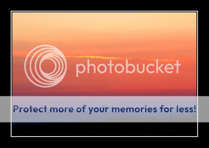 IMAGE: http://i541.photobucket.com/albums/gg368/eddiston/march%202009/099_filtered_sm.jpg