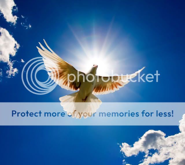 doveofpeace2.jpg