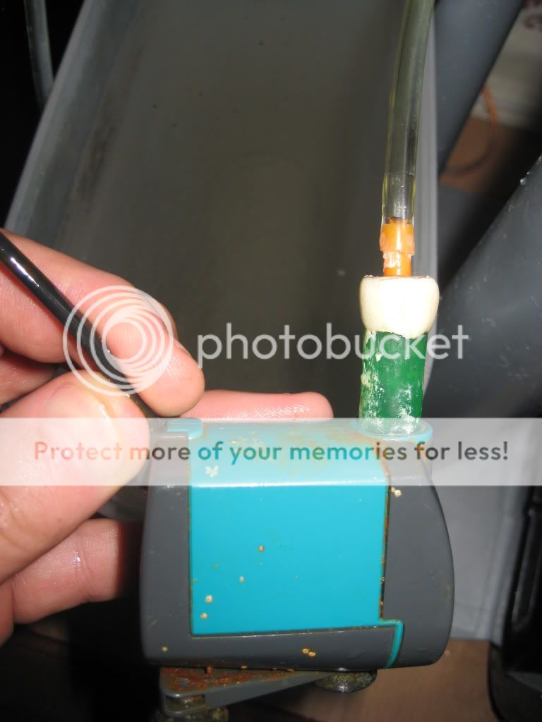 Posted Image