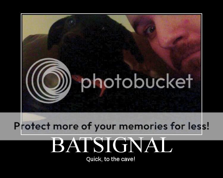 batsignal.jpg
