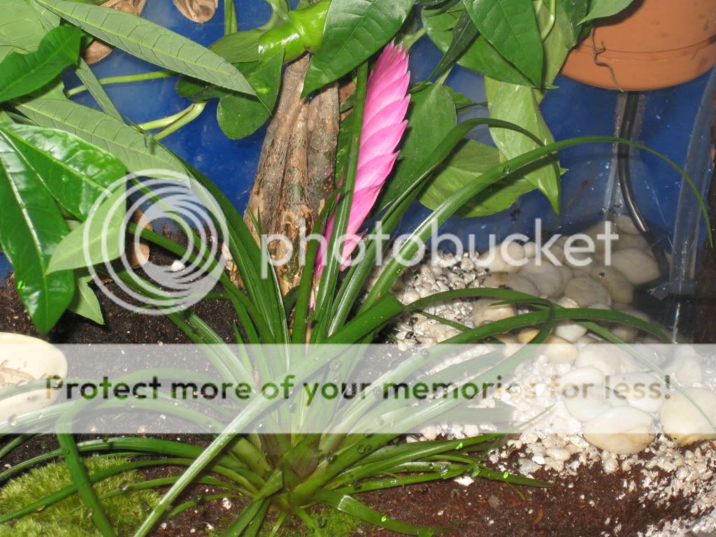 7-12-2009009.jpg
