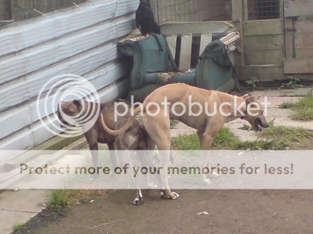 DSC00010.jpg