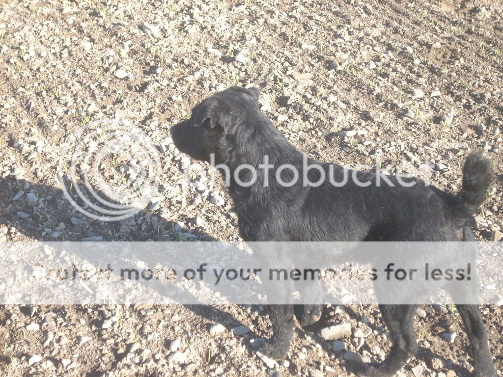 Picture142.jpg